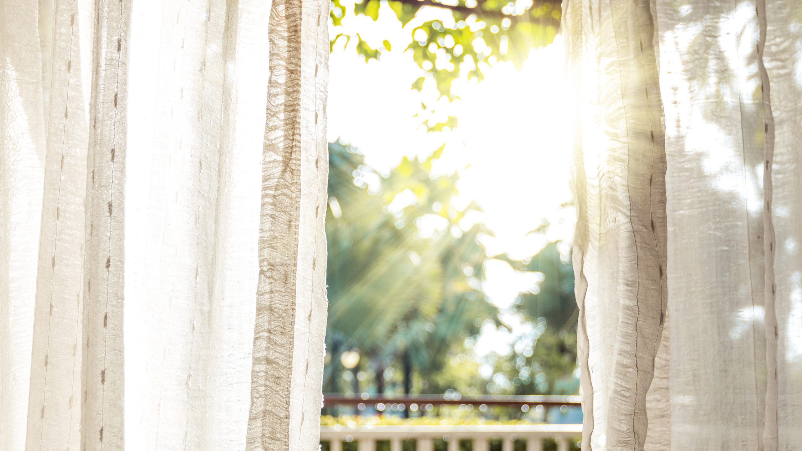 In the morning, the sun shines on the door through the white curtains.